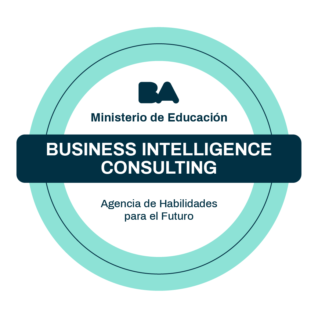 Business Intellingence Consulting - Talento Tech
