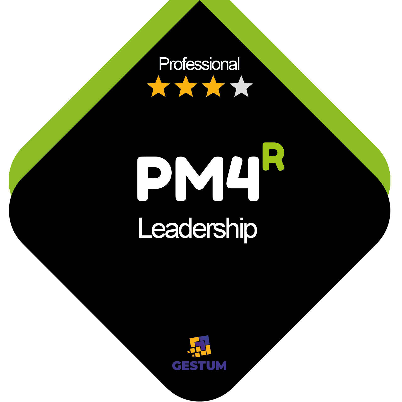 PM4R Leadership (Gestum Total)