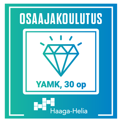 Modernin johtamisen osaaja (YAMK)