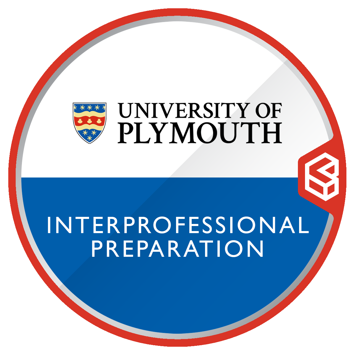 Interprofessional Preparation