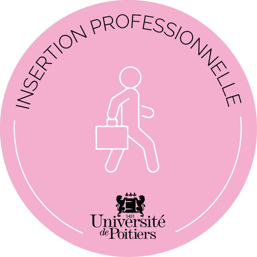Insertion professionnelle 