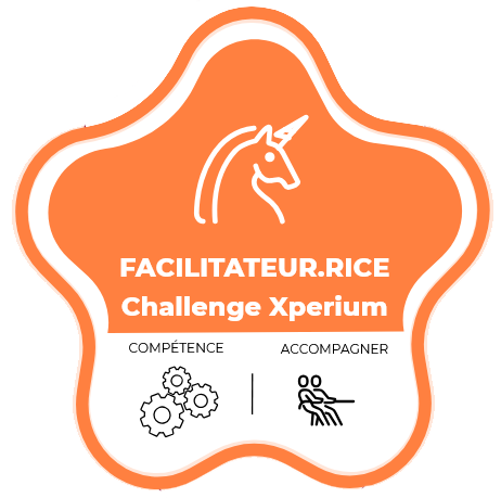 FACILITATEUR.RICE pour le Challenge Xperium