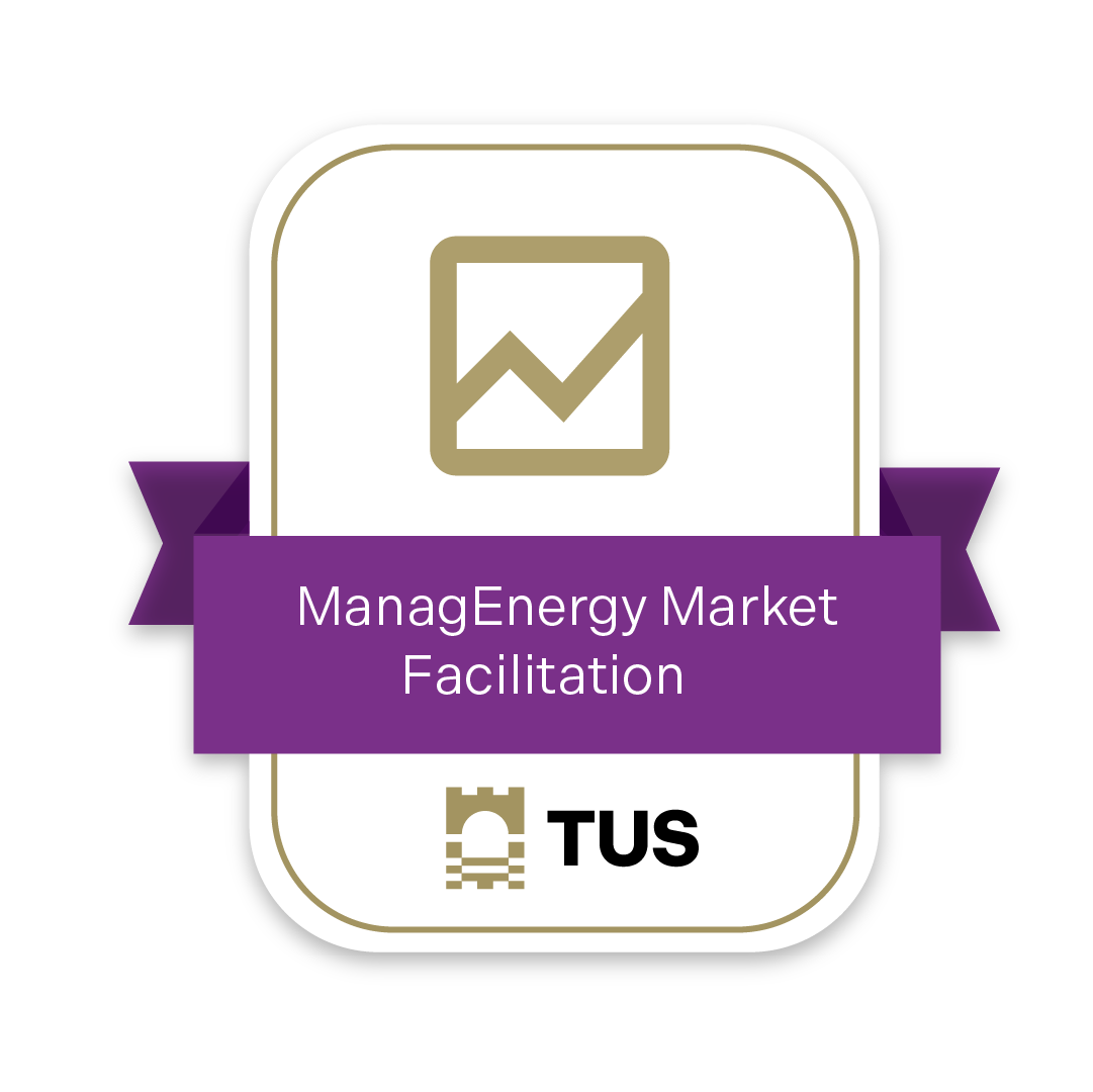 ManagEnergy Market Facilitation & Project Development