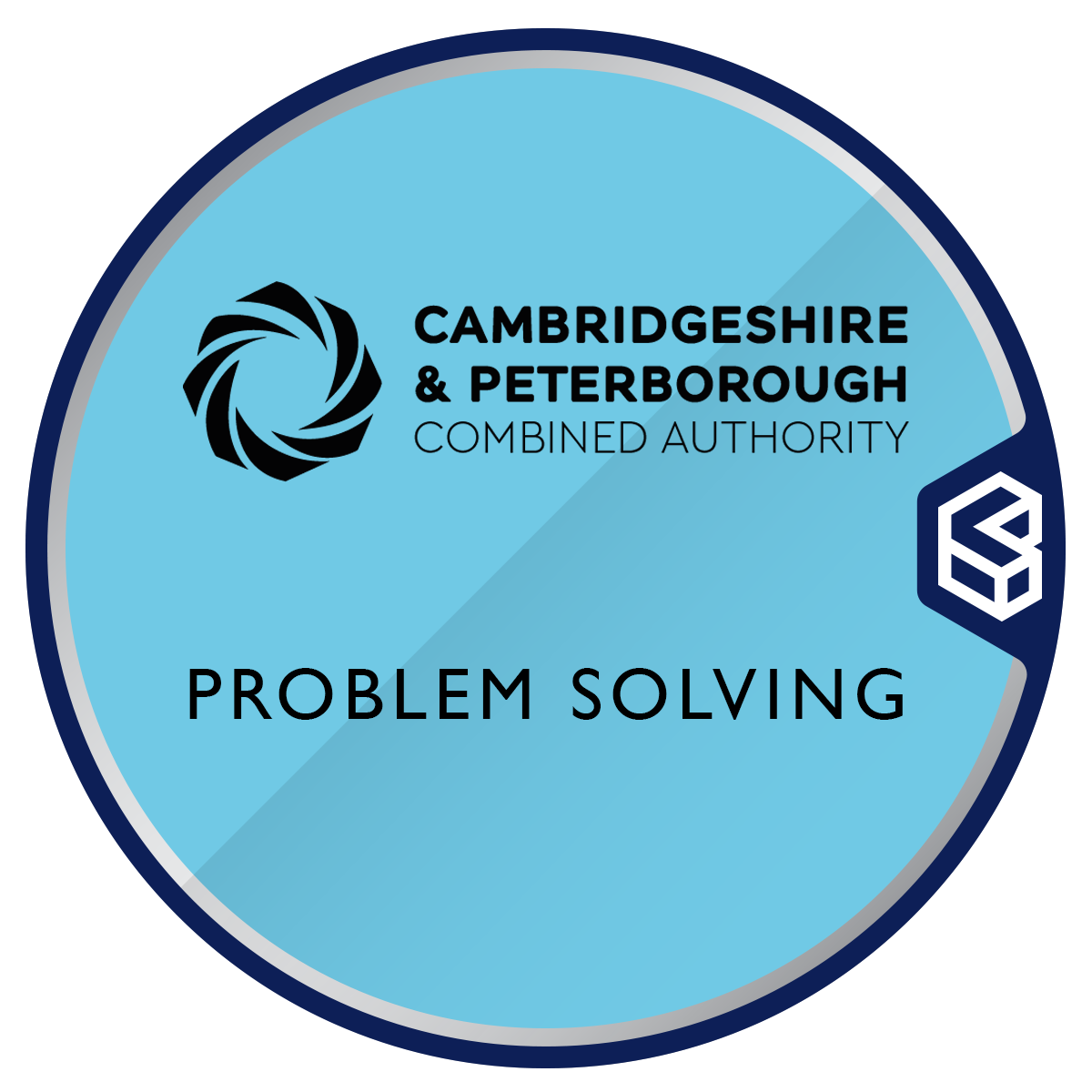 Problem-Solving Skills in an Internship Placement