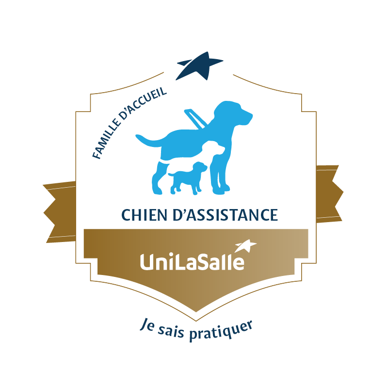 Chien d'assistance