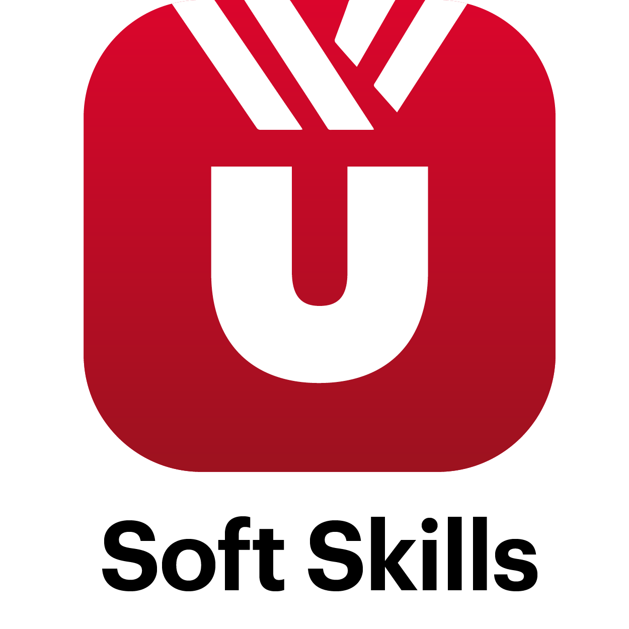 Soft Skills per a l'entorn digital