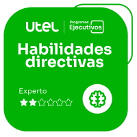 Habilidades Directivas - Experto II                