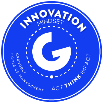 GEM Innovation Mindset