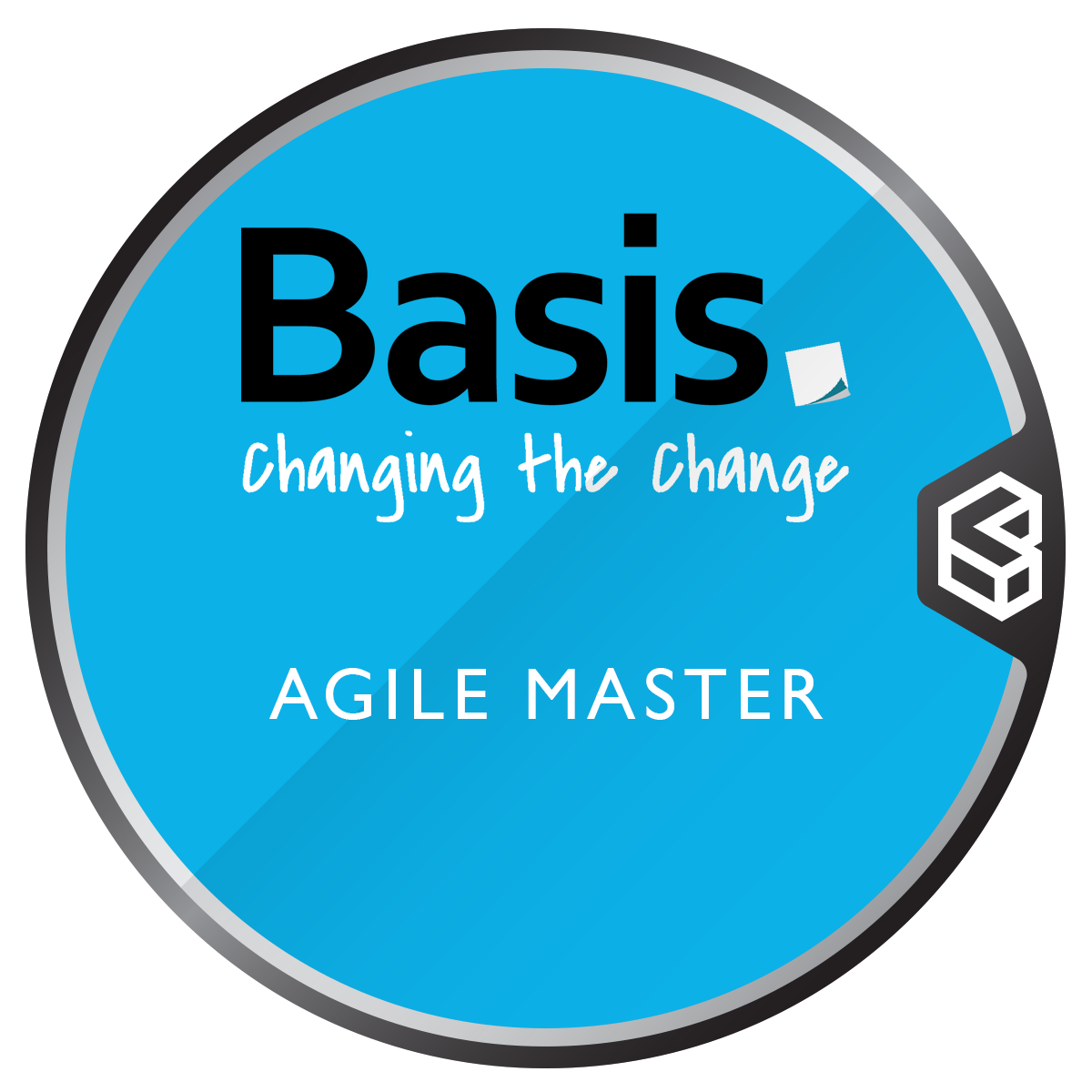 Basis Training - Agile Master in Public Services