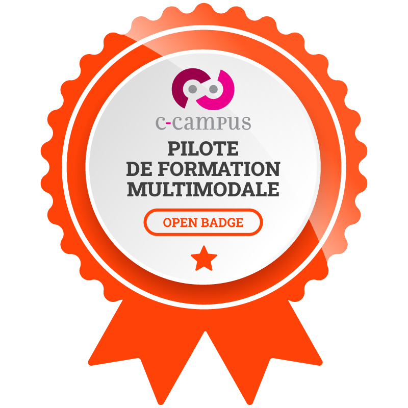 Pilote de formation multimodale