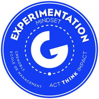 GEM Experimentation Mindset