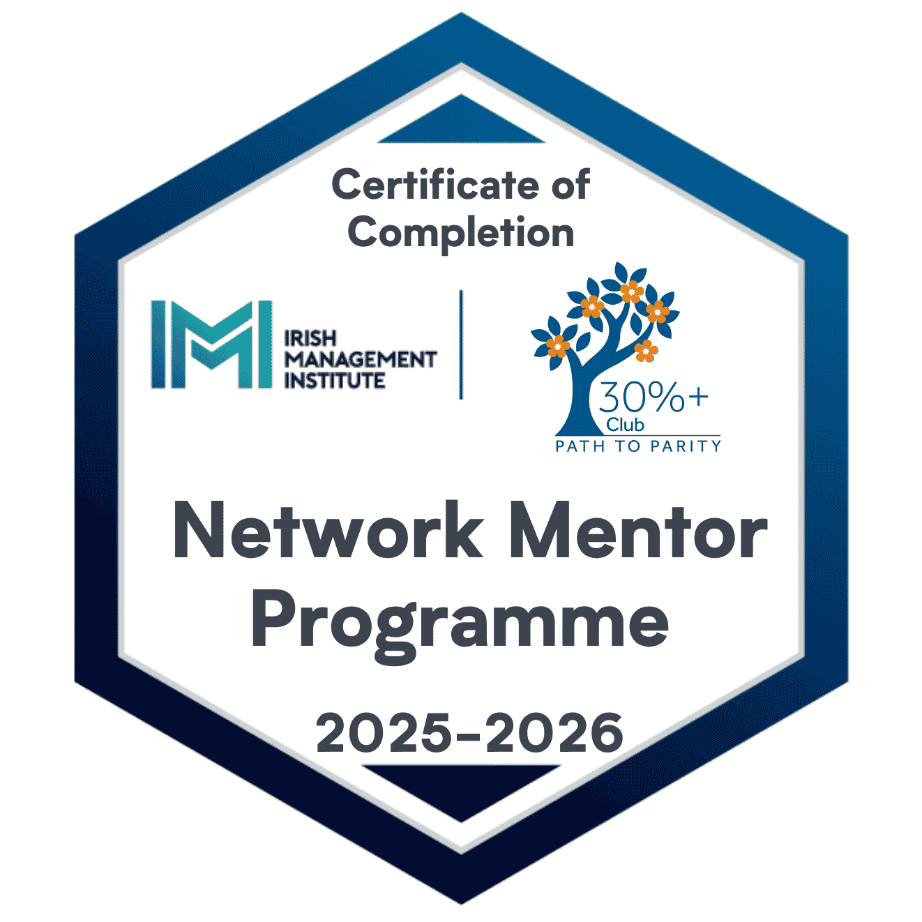 Network Mentor Programme 2025- 2026