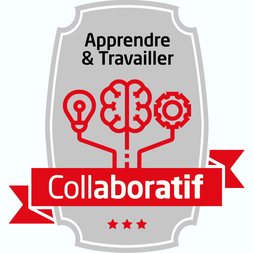 Apprendre et travailler en mode collaboratif