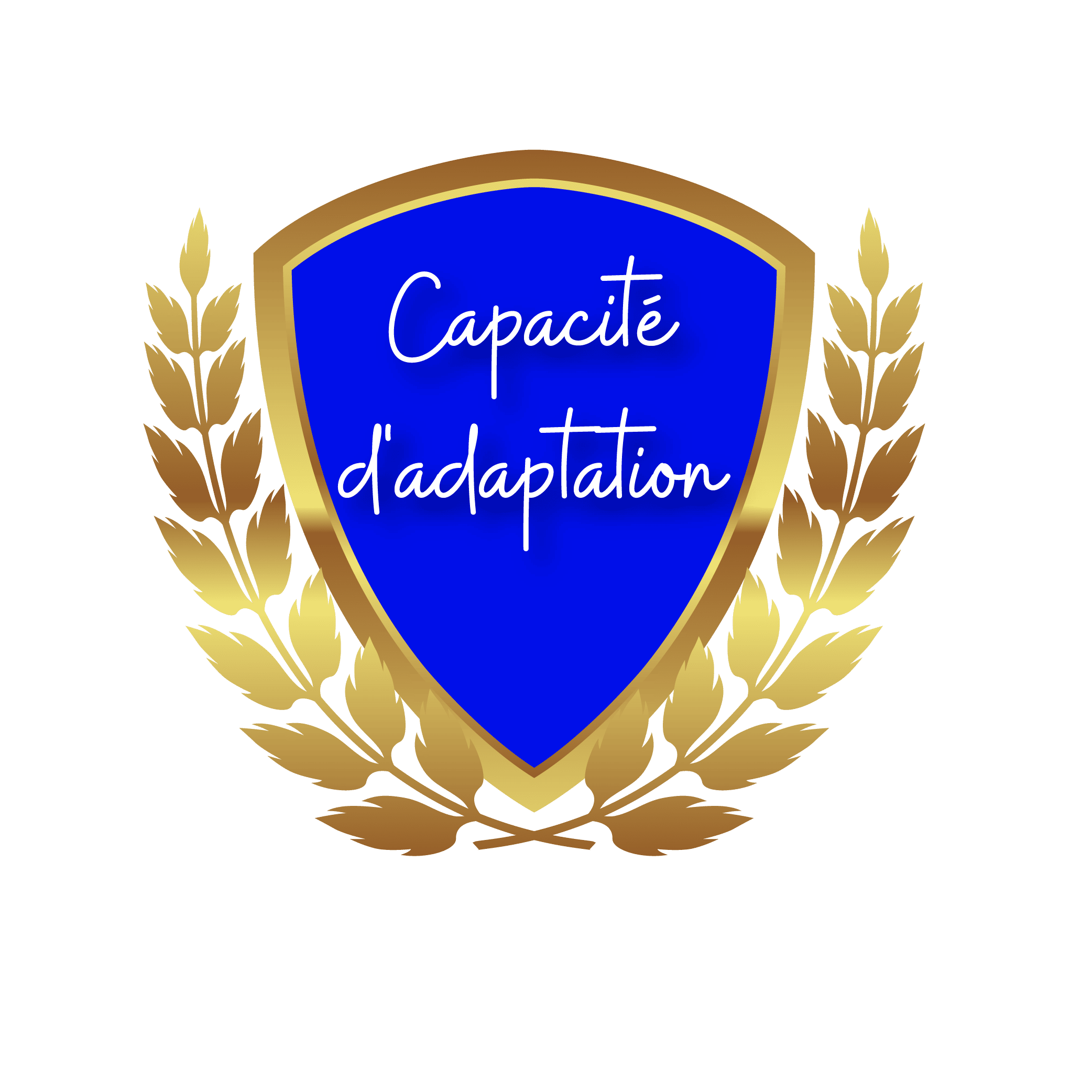 Capacité d'adaption