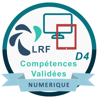 Culture Numérique : l'usage du numérique degré 4
