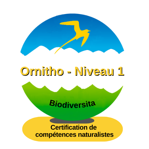 Ornitho - Niveau 1