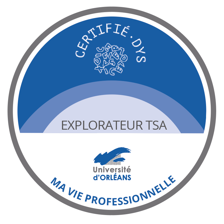 Explorateur des Troubles Spécifiques des Apprentissages - DysPlay
