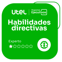 Habilidades Directivas - Experto I            