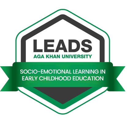 Socio Emotional Learning in Early Childhood Education 