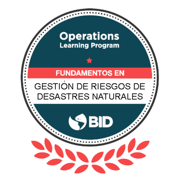 Fundamentals in Natural Disaster Risk Assessment