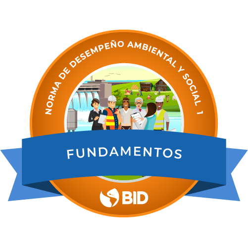 ​​Norma de Desempeño Ambiental y Social 1: Evaluación y gestión de los riesgos e impactos ambientales y sociales (NDAS 1)