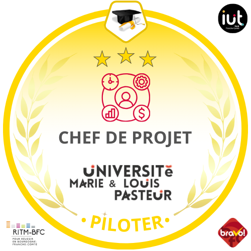 Chef de projet (Niv. 3 Or)