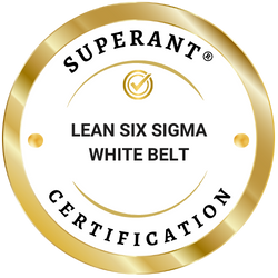 Lean Six Sigma White Belt - Professional Certification
