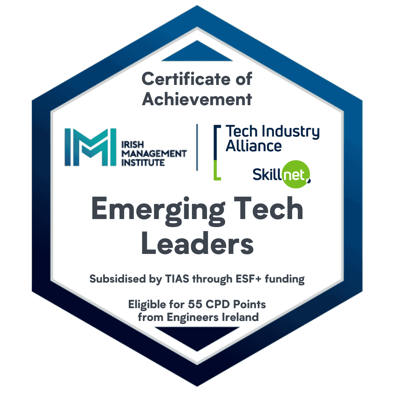 Emerging Tech Leaders