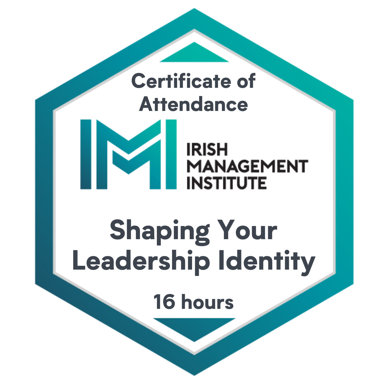 Shaping Your Leadership Identity