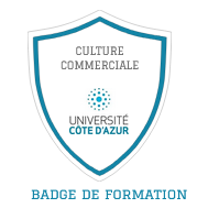 Unité d’Enseignement à Visée Professionnalisante : Culture Commerciale