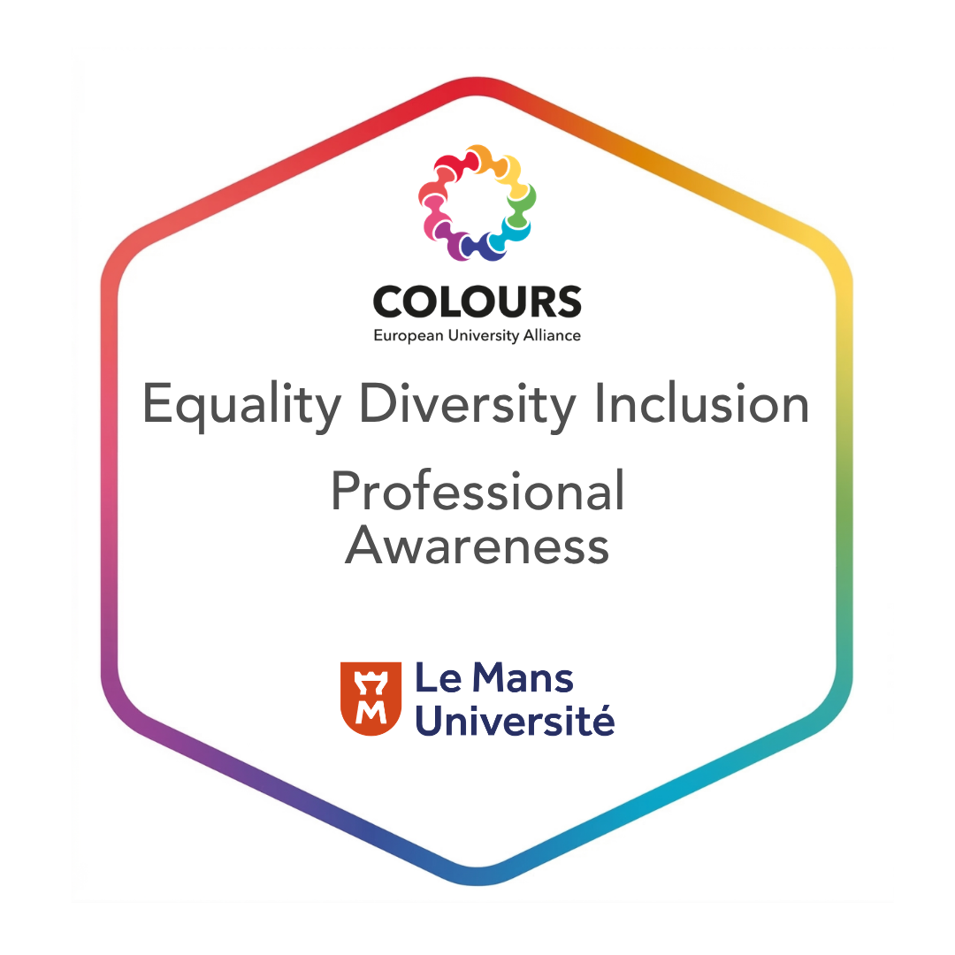 Equality, Diversity, and Inclusion in Professional Environments