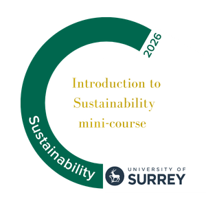 Introduction to Sustainability