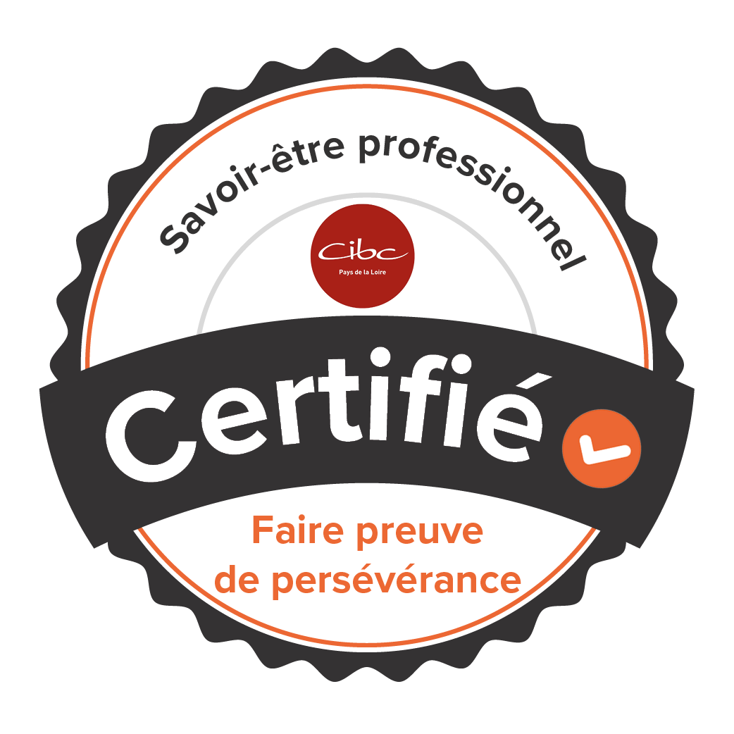 Faire preuve de persévérance
