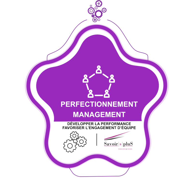 MANAGEMENT PERFECTIONNEMENT