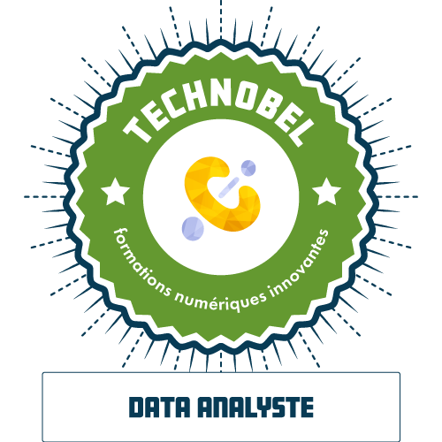 Data analyste
