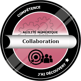 Agilité numérique - Collaboration