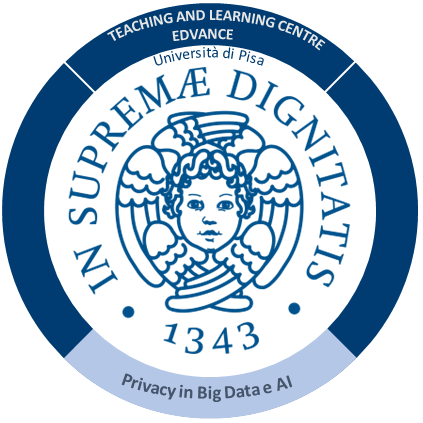 Privacy in Big Data e AI