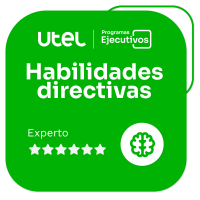 Habilidades Directivas - Experto VI         