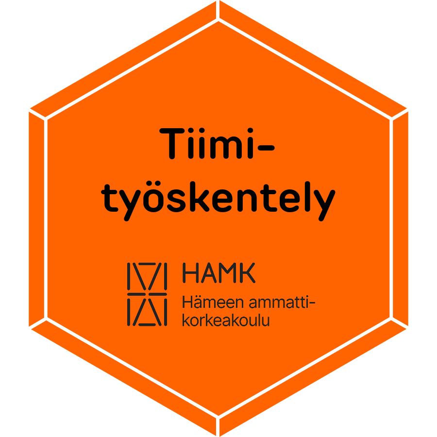 Tiimityöskentely