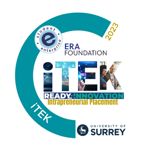 iTEK - Intrapreneurial Placement 