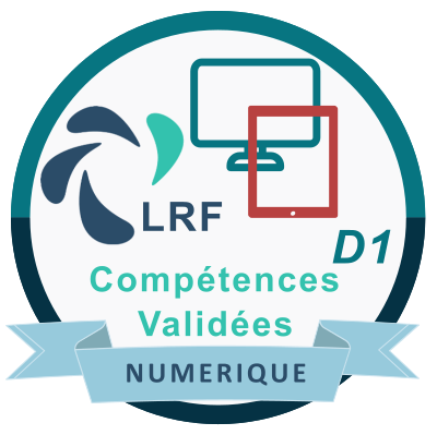 Culture Numérique : l'usage du numérique degré 1