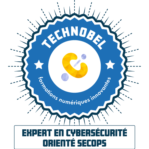 Expert·e en cybersécurité