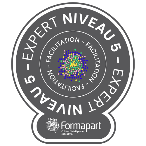 Badge Facilitation -"Expert"  - validation professionnelle