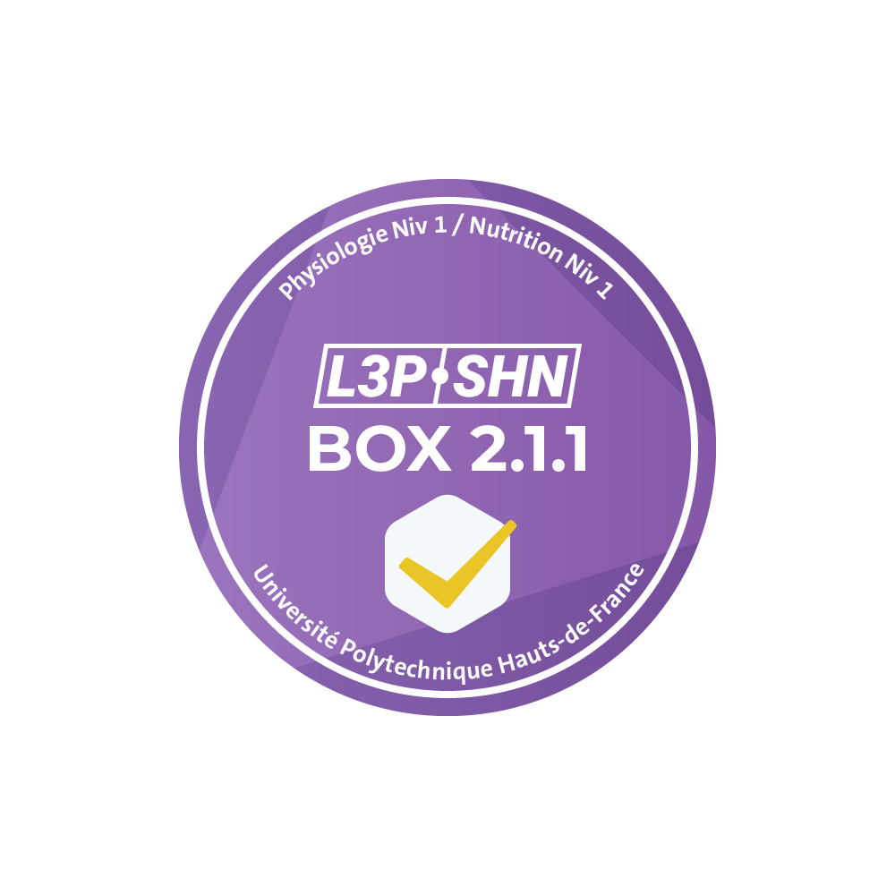 BOX validée !