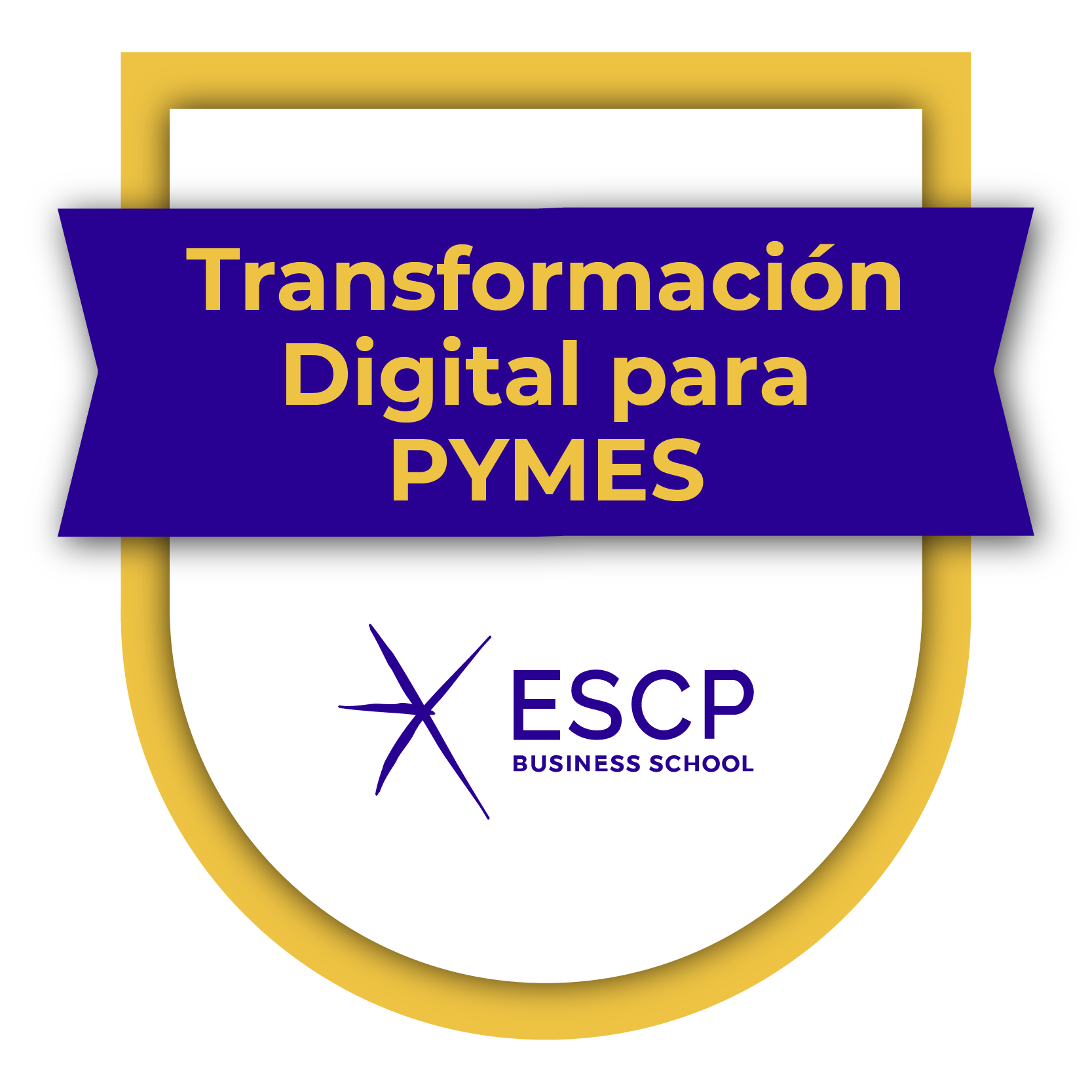 Especialización en Transformación Digital para PYMES