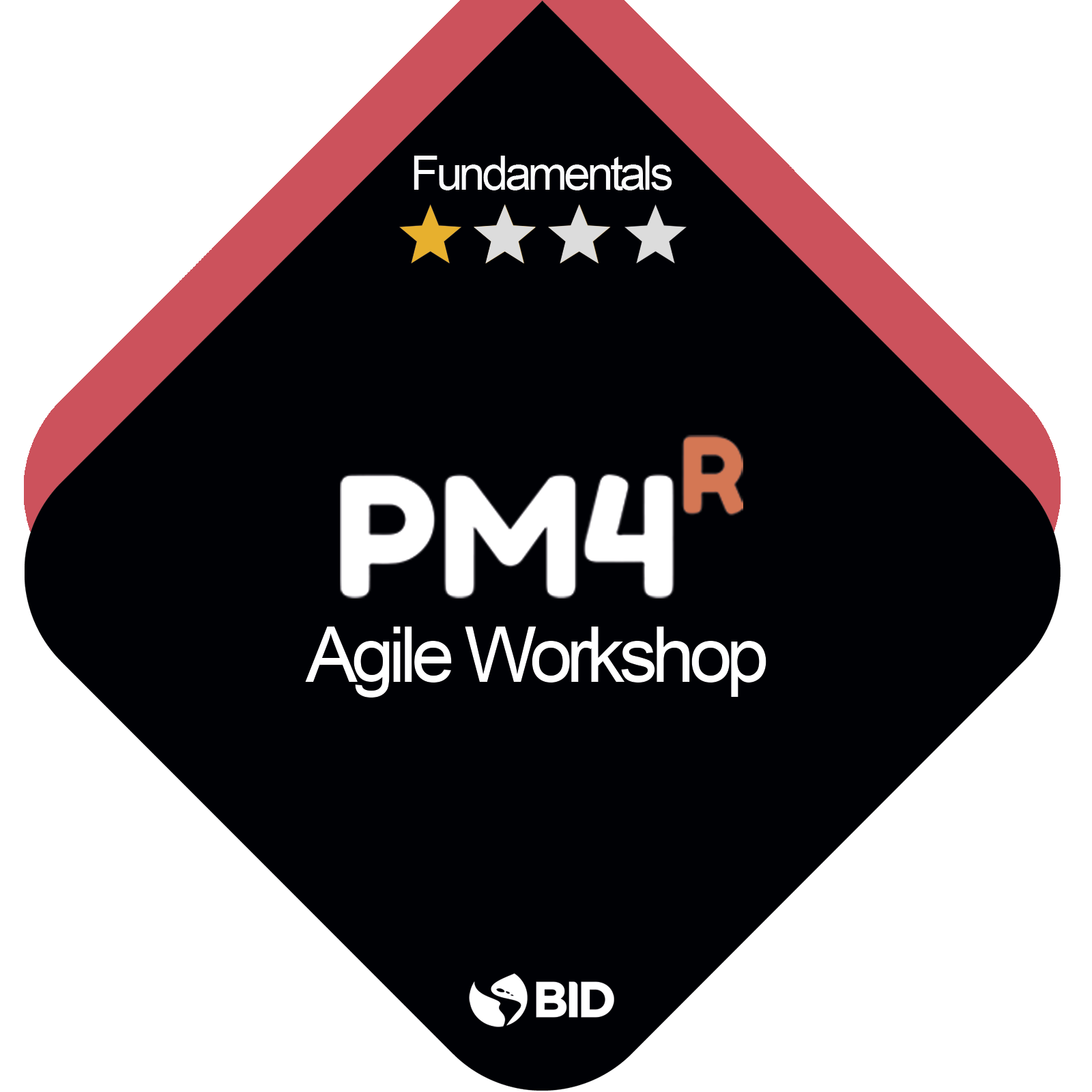 PM4R Agile Practitioner