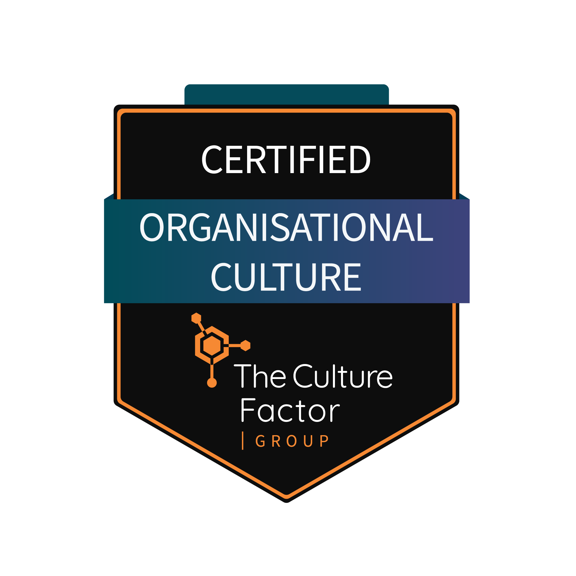 Organisational Culture Certification with The Culture Factor Group