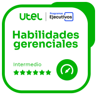 Habilidades Gerenciales - Intermedio VI