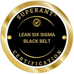 Lean Six Sigma Black Belt - Professional Certification