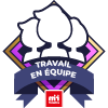 Travail en équipe- Niveau 2